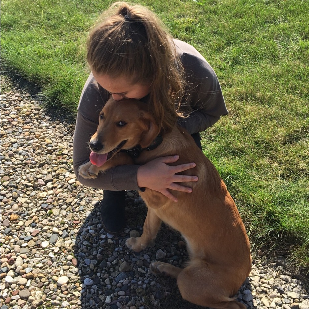 Meet your Posher, Abbey